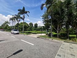 Springleaf Avenue (D26), Terrace #366521051